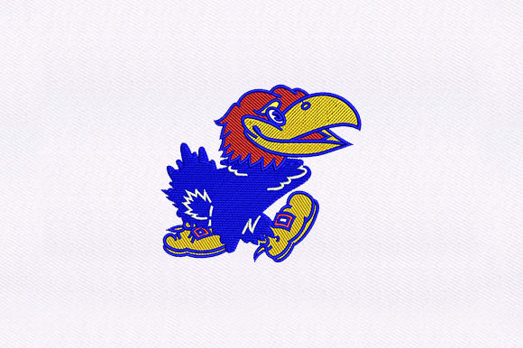 Red and Blue Bird Embroidery Review